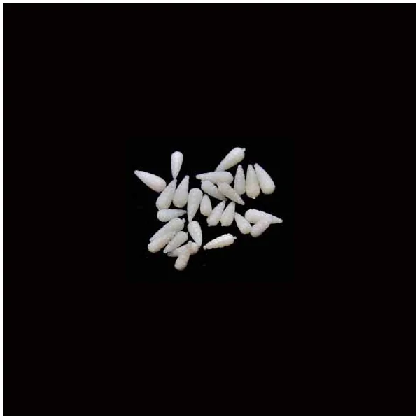 ASTICOT ARTIFICIAL BROWNING