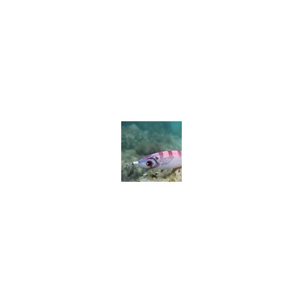 DTD Panic Fish - Imagen 2