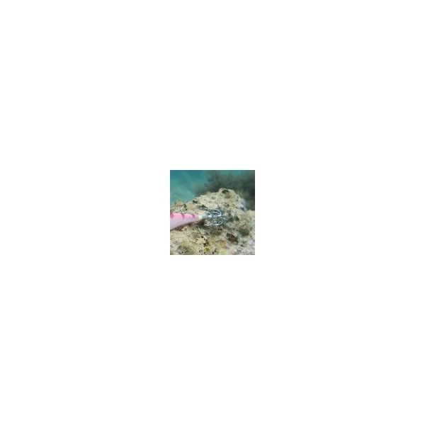 DTD Panic Fish - Imagen 3