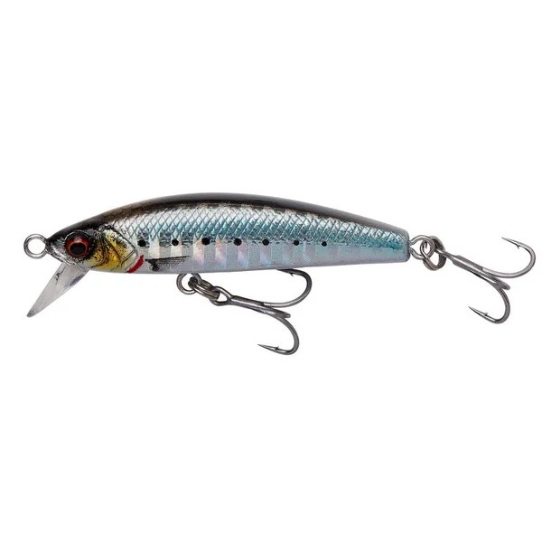 Gravity Minnow - Imagen 3