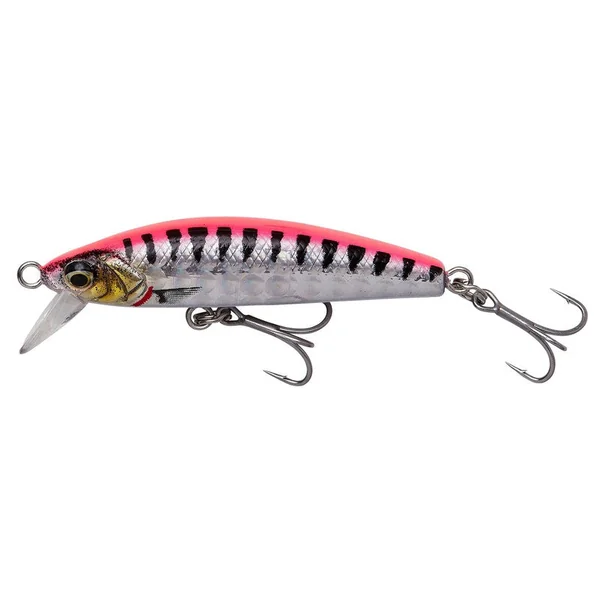 Gravity Minnow - Imagen 5