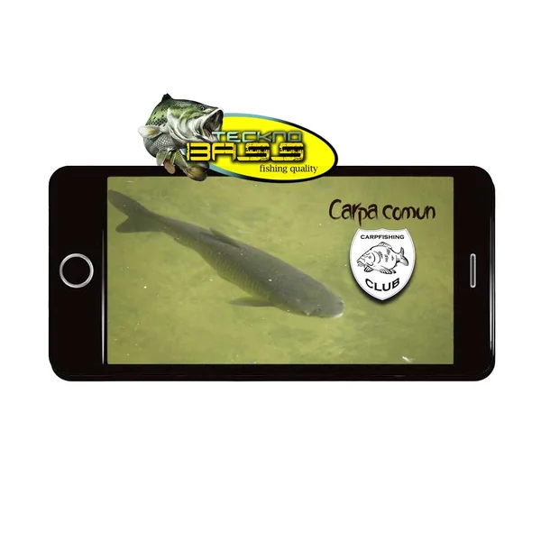 IMAN DE NEVERA CARPA COMÚN CARPFISHING