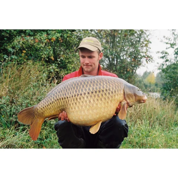 Korda Running Rig Kit - Imagen 3