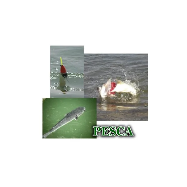 LICENCIA DE PESCA INTERAUTONOMICA