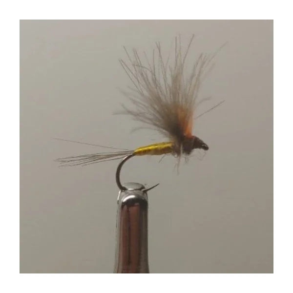 Mosca Seca Rhodani CDC MS3