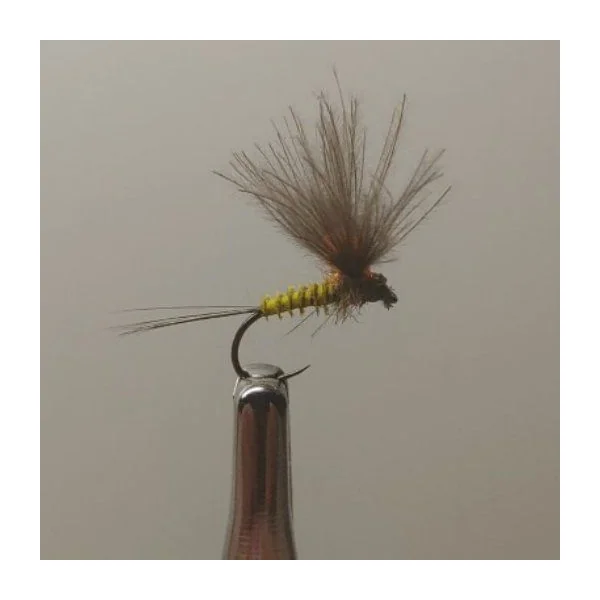 Mosca Seca Rhodani CDC MS4