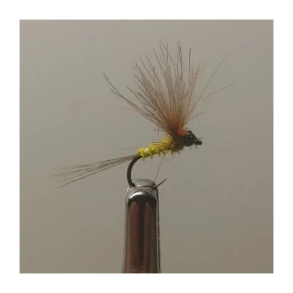 Mosca Seca Rhodani CDC MS5