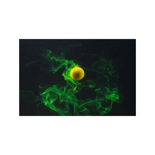 Tandem baits diffusion booster secret squid 100ml - Imagen 2