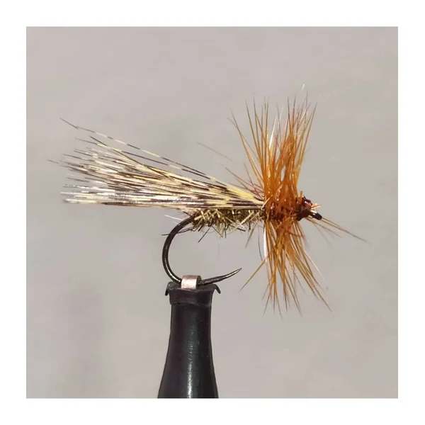 Tricóptero Flor Escoba