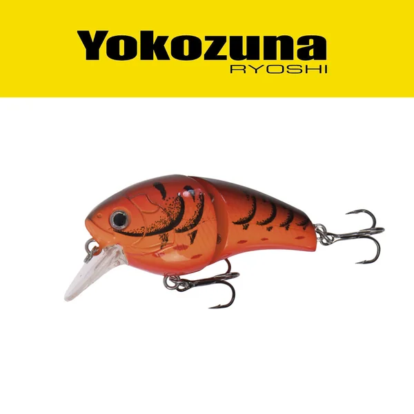 YOKOZUMA BAILON - Imagen 2